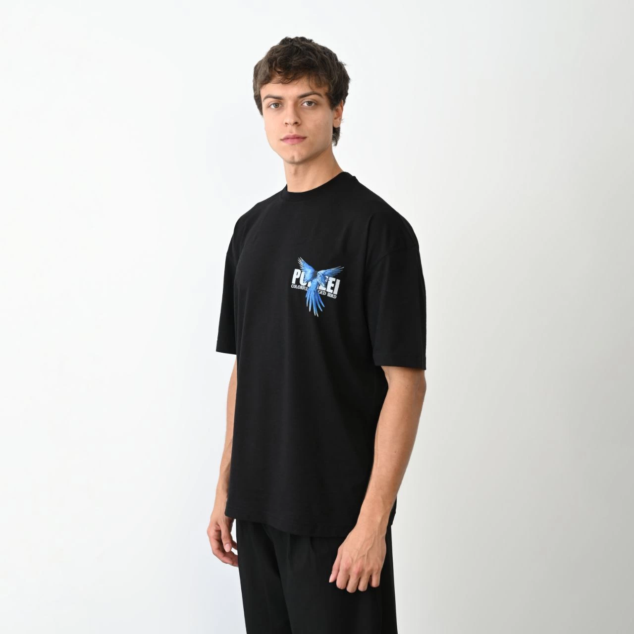 Erkek Baskılı T-Shirt Kısa Kol Bisiklet Yaka Regular Fit Rahat Kalıp Günlük Tişört - Siyah